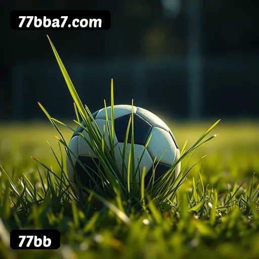 6 vantagens exclusivas do programa VIP da 77bb